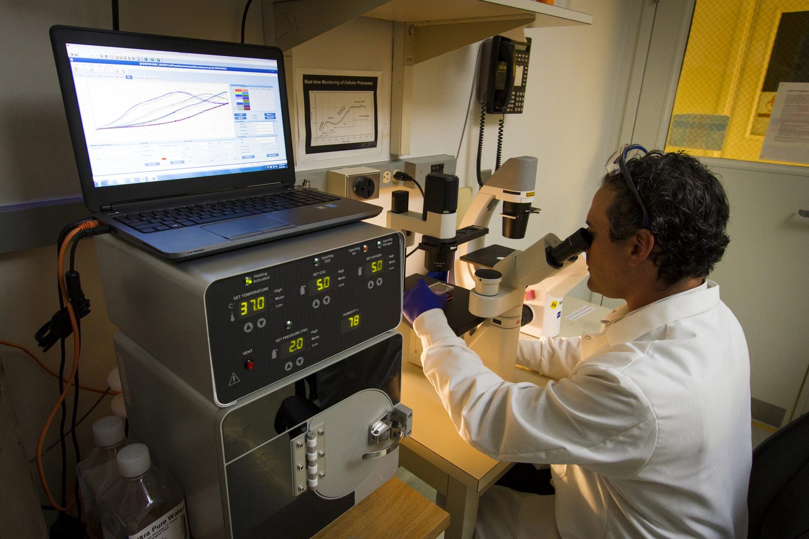 Scientist looking at cells under a microscope