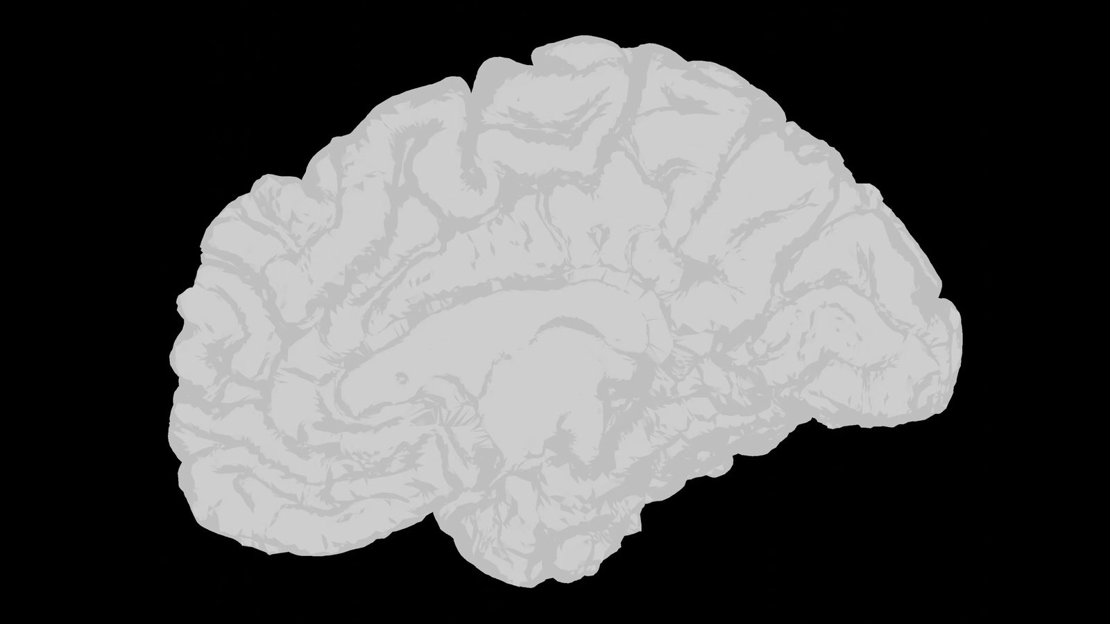 White brain model on a black background